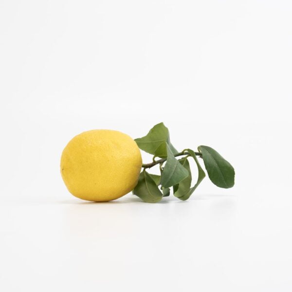Limoni - immagine 3