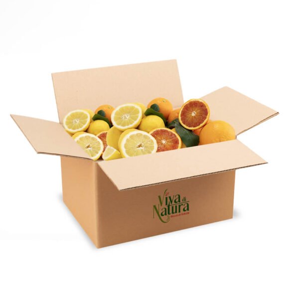 Box mix arance e limoni 12kg