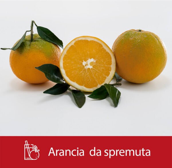 Arance bionde da spremuta 1kg - immagine 3