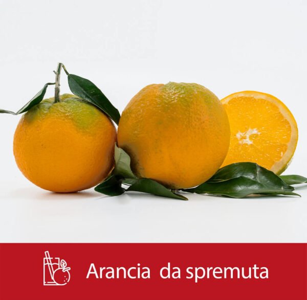 Arance bionde da spremuta 1kg - immagine 4