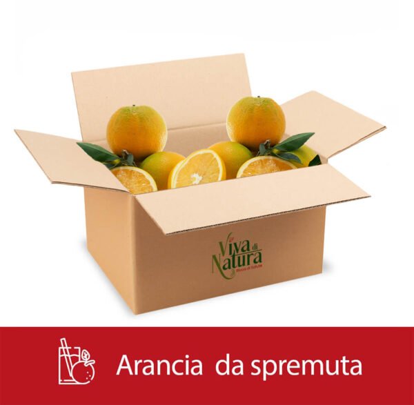 Box arance bionde Navel - da spremuta